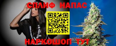 крисы Будённовск