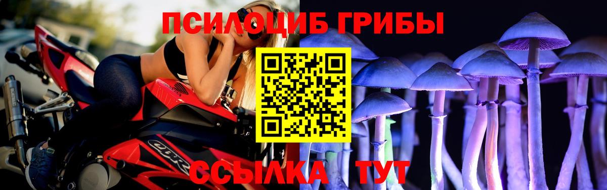 Санкт-Петербург  Псилоцибиновые грибы MAGIC MUSHROOMS  Псилоцибиновые грибы Cubensis  Вход с VPN 